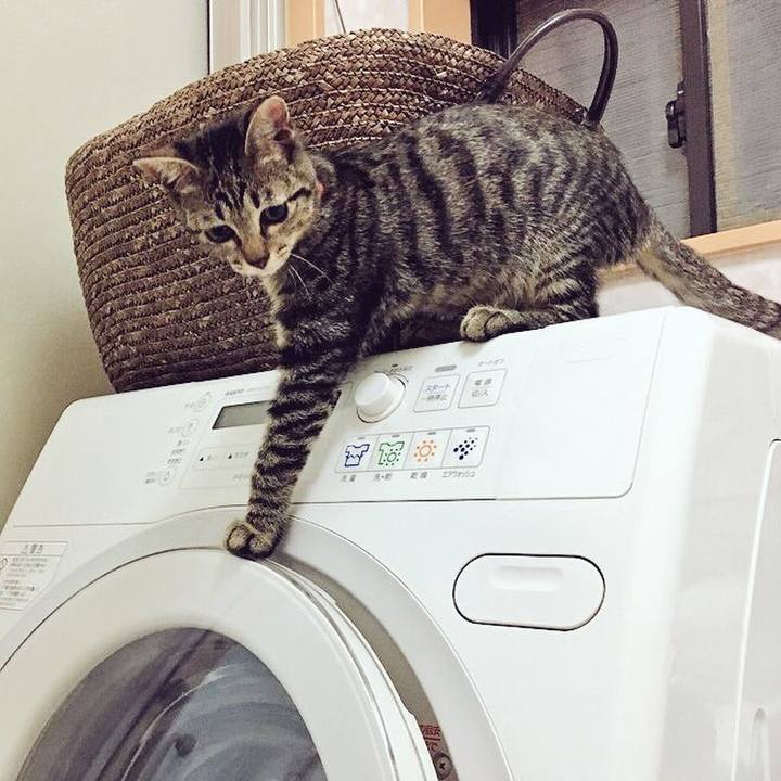 9b1f464e d55f 4449 a3ee 60705ff8965e