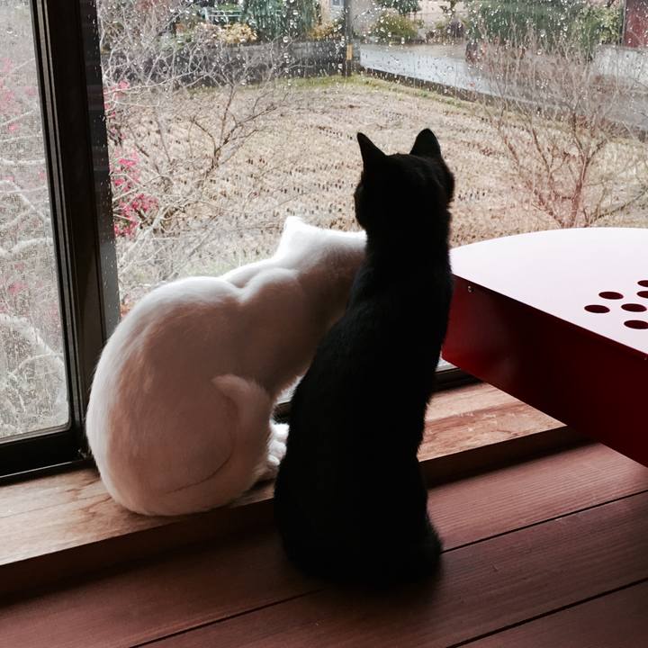 9b1fab67 0f34 44c3 bba9 6b9c44d9ba2c