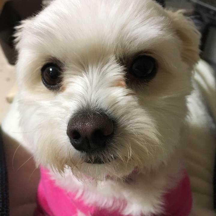 9b202d4a bcfe 488c bfdf a993815f114f