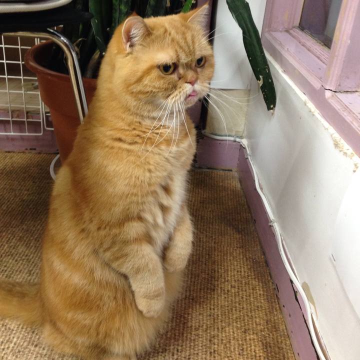 9b203122 90fc 4d33 9507 3c84d02d4614