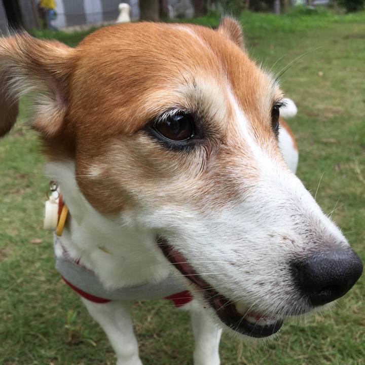 9b207a0c d7c8 49c0 aea9 9fe00d0a9b0d