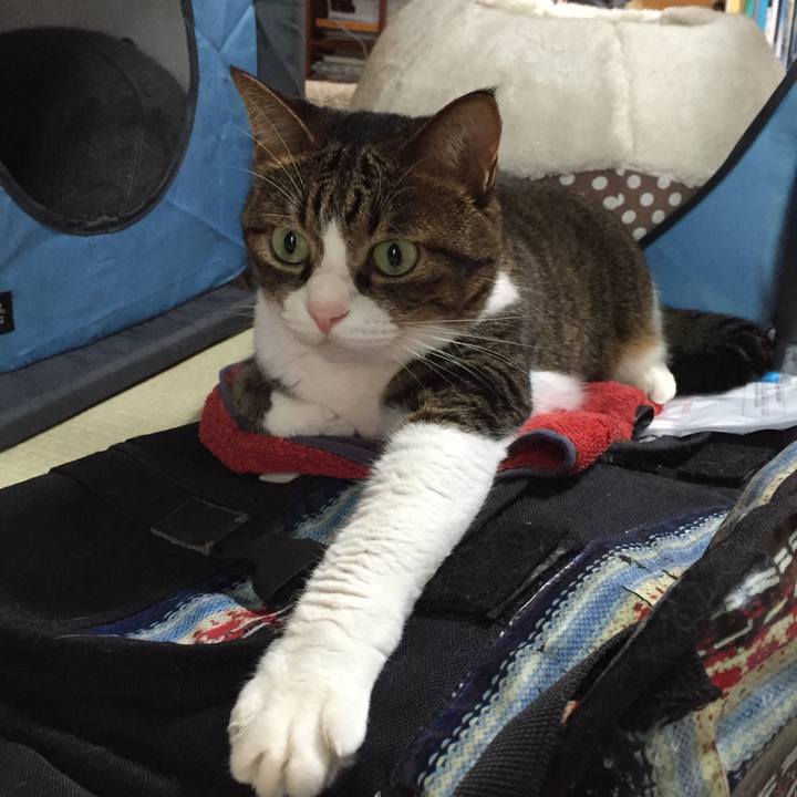 9b20e255 2f90 4fda 8adb 62ddcc872962