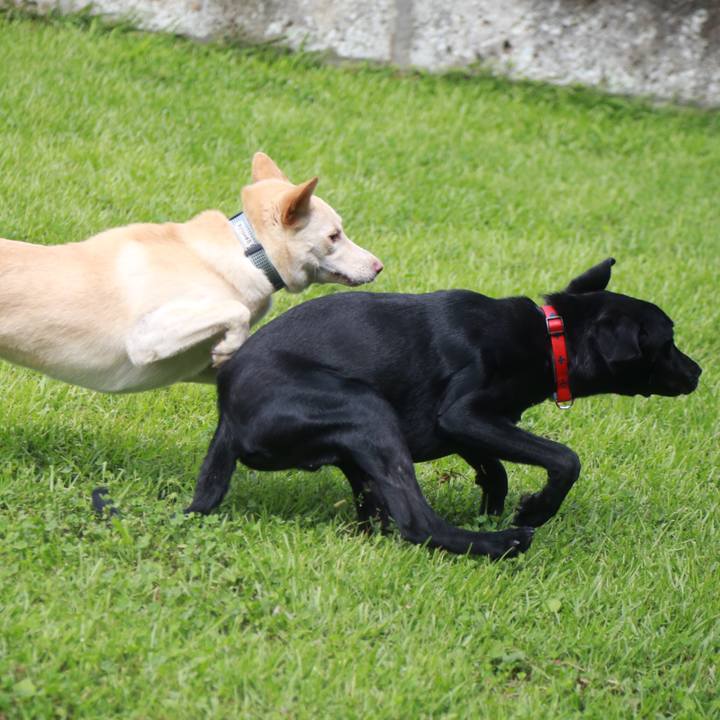 9b218204 43a2 4ecb 887a 91d0ba084847