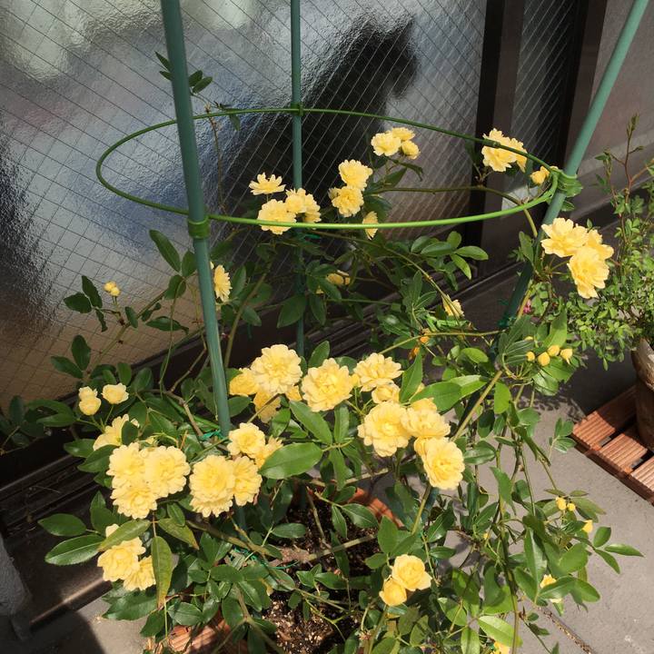 9b21ec73 6881 4fd4 b158 c986b0ca41b5