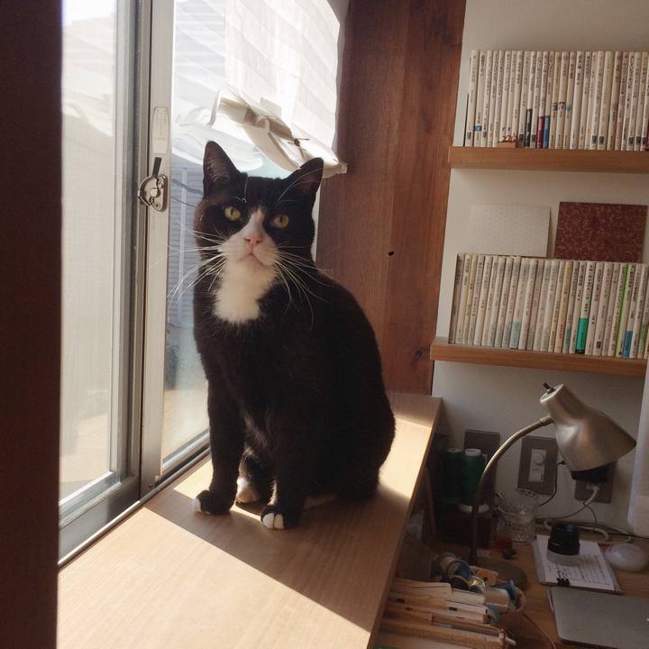 9b22186d 0c93 441c 9d40 cefac1b359c9