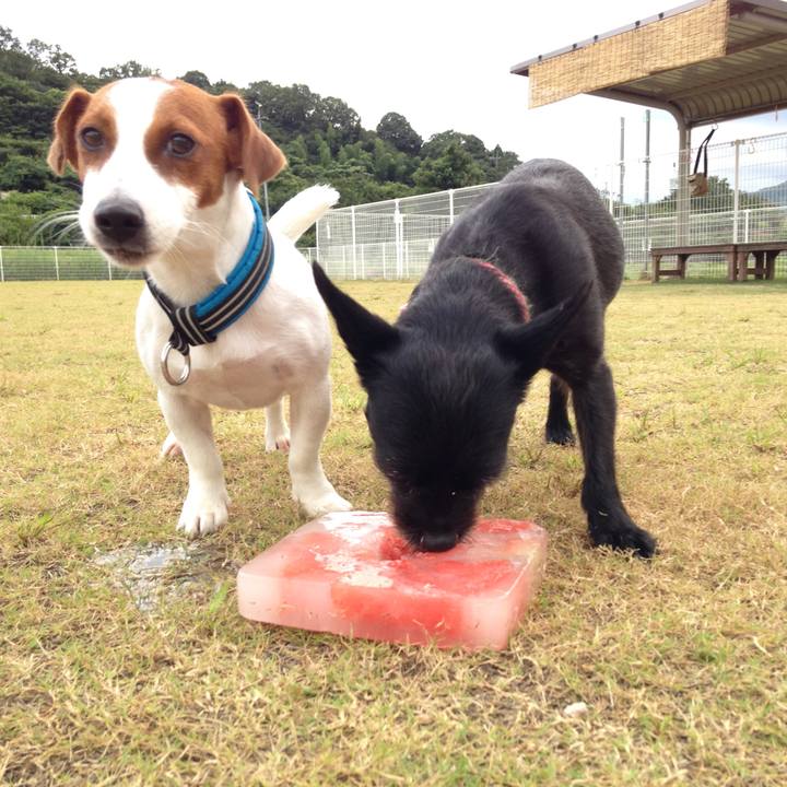 9b223ce2 aa6d 4873 8008 12914e167118