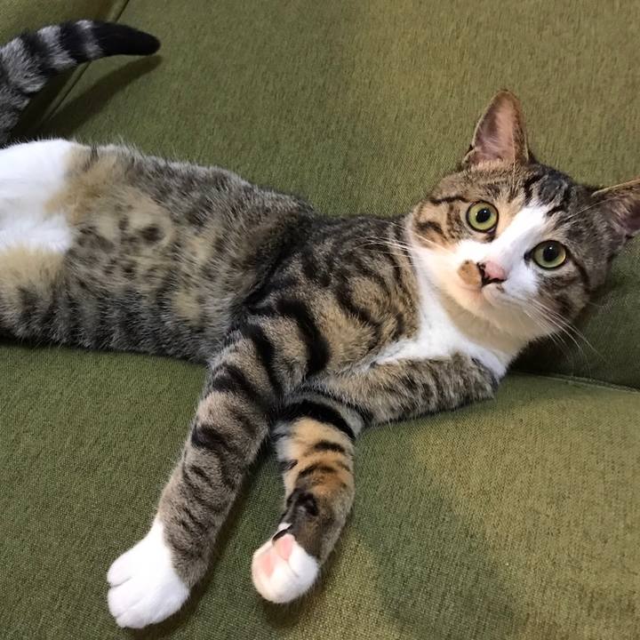 9b227197 c577 46f2 a98f 83218d7633e3