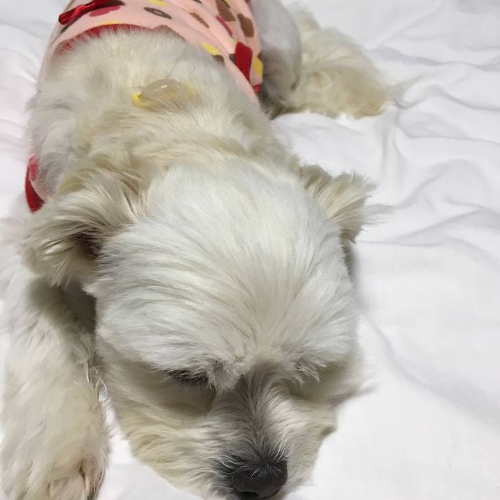 9b232563 5634 46c5 b2bf f94e12c4f7c7