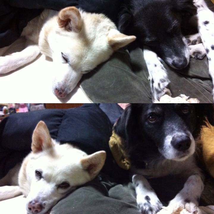 9b232947 6383 42e5 b577 9defcb8dbc4c