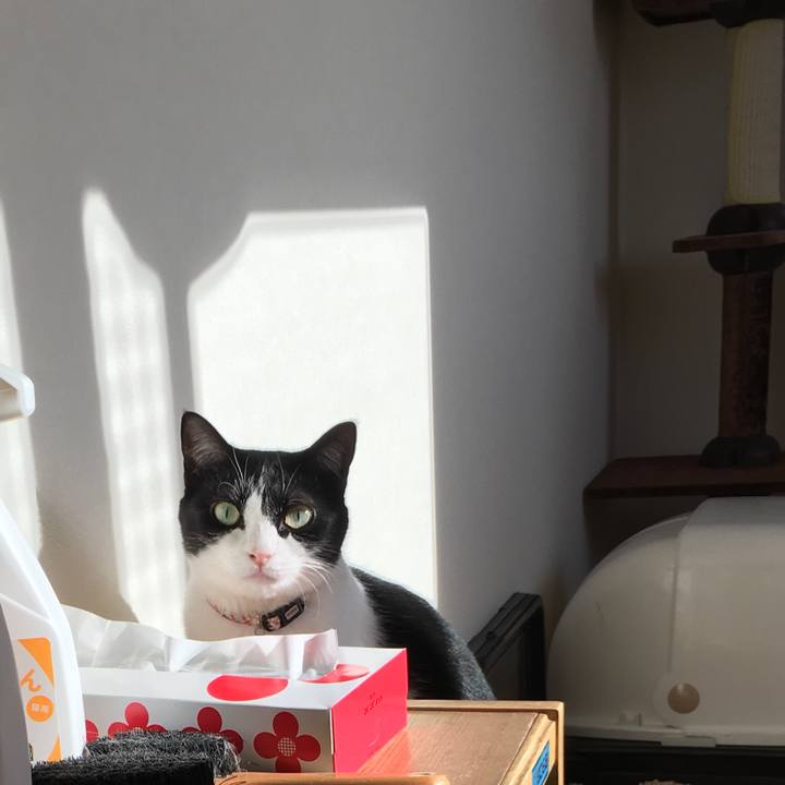 9b232fee efe5 4277 ab12 b72433c2f856