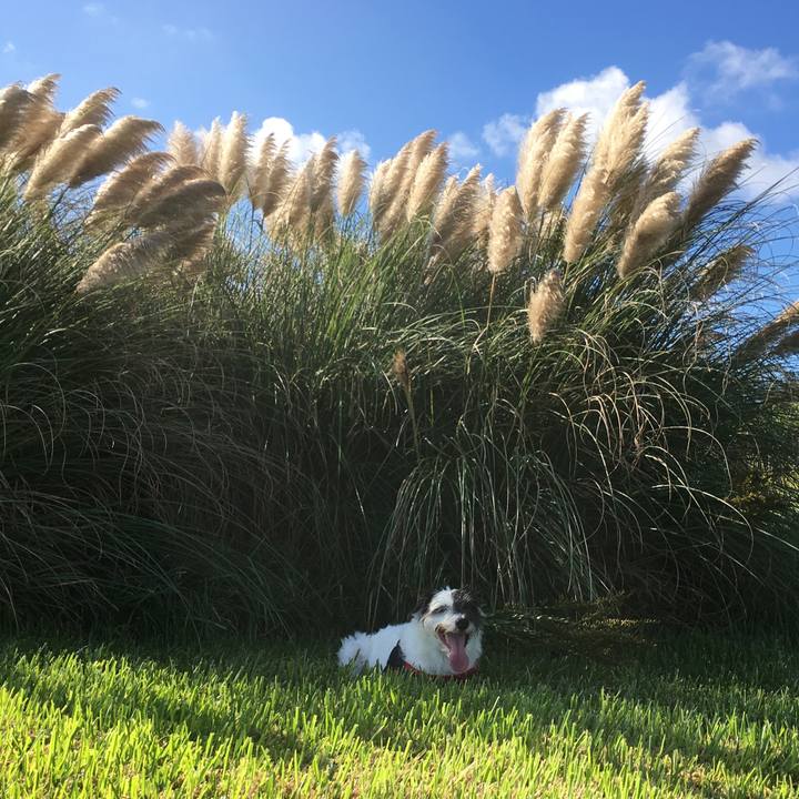 9b23442c b1c7 49f4 98b3 9e92c50f92b5