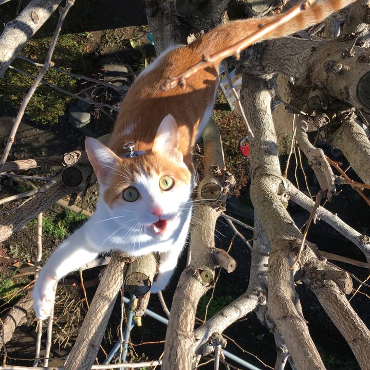 9b23af6d f159 493c b995 191bd7c847b2