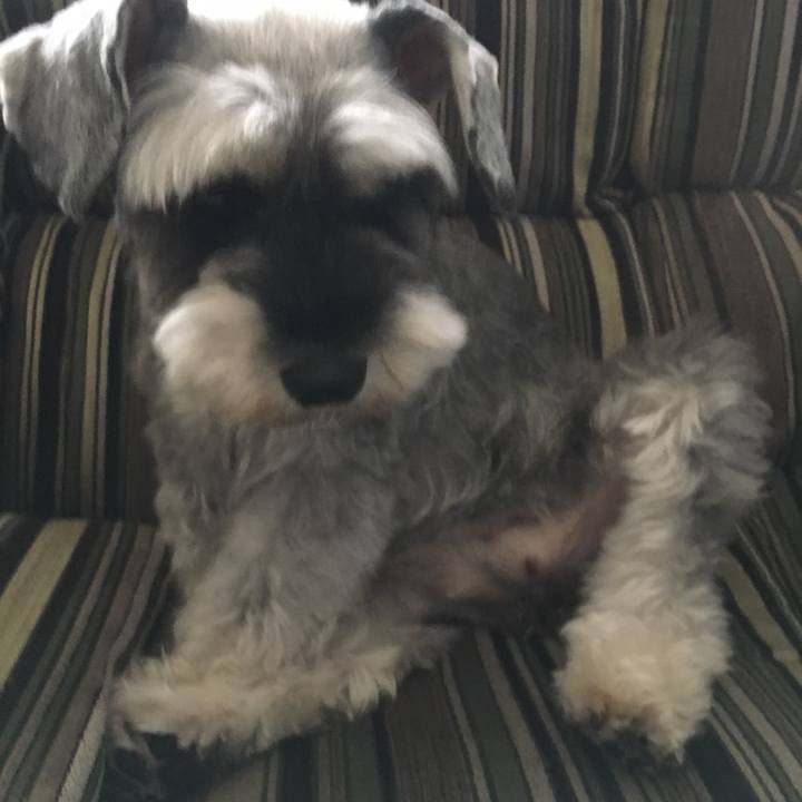 9b2474f2 2de4 4d7e 8286 a81d20e36f18