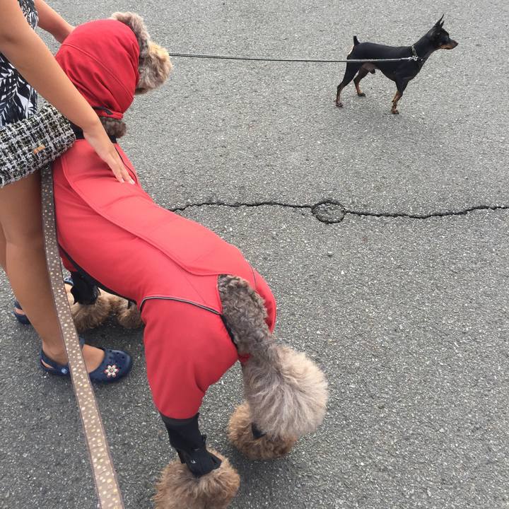 9b24c08d 634e 442f bbd7 96015c49b493