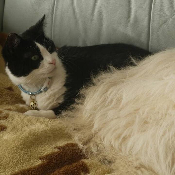 9b253f38 c651 4209 82ef b880b94673c0