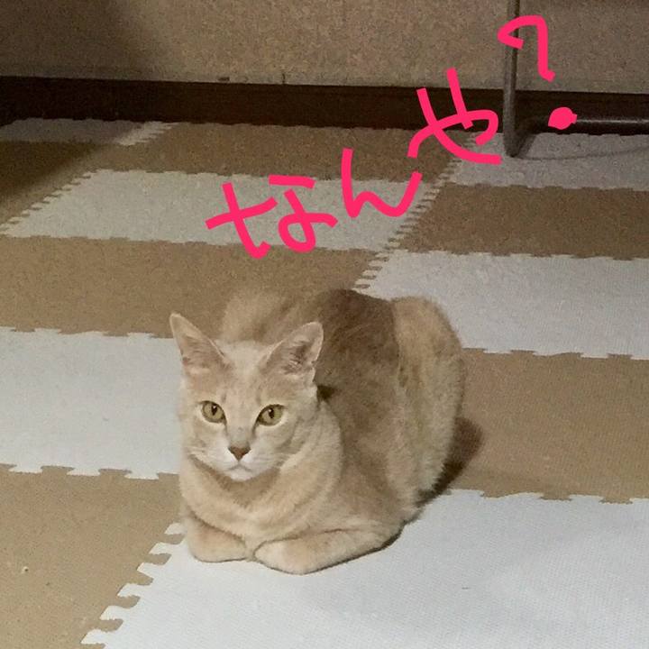 9b265883 bd49 4bcc ac85 9627763c5487