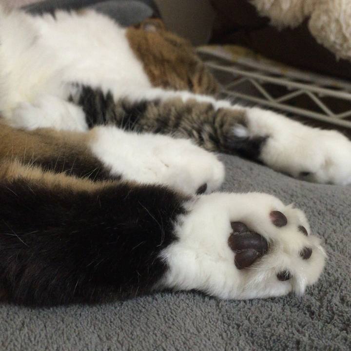 9b280df9 c441 4d8b be41 6bef04924997