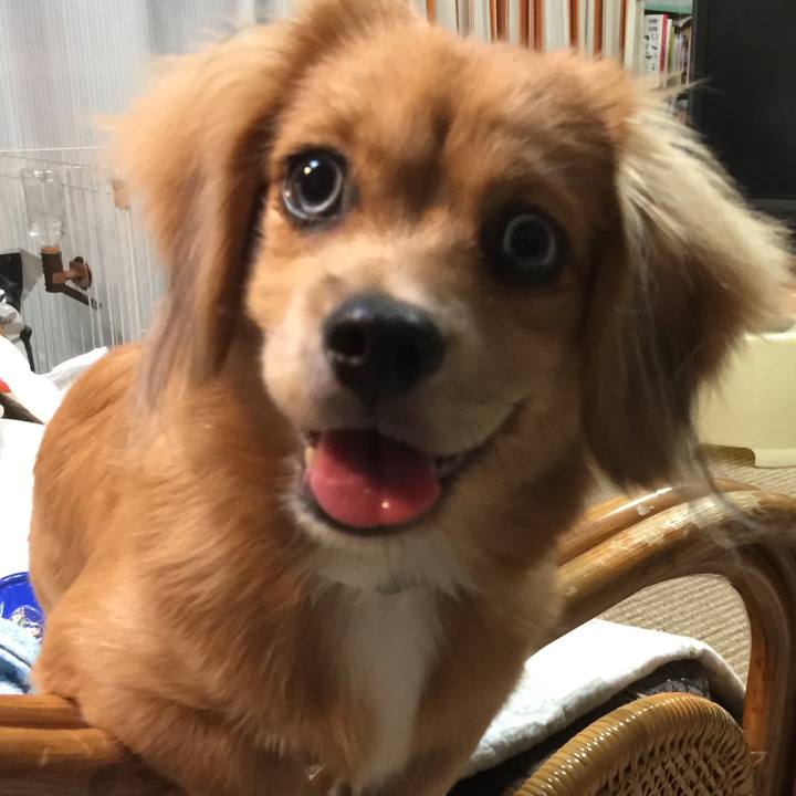 9b287917 54aa 4c40 8eea 28ed94d03c7b