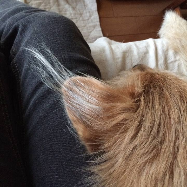 9b29dc0e 69ca 415d 9efb e56db5008ada