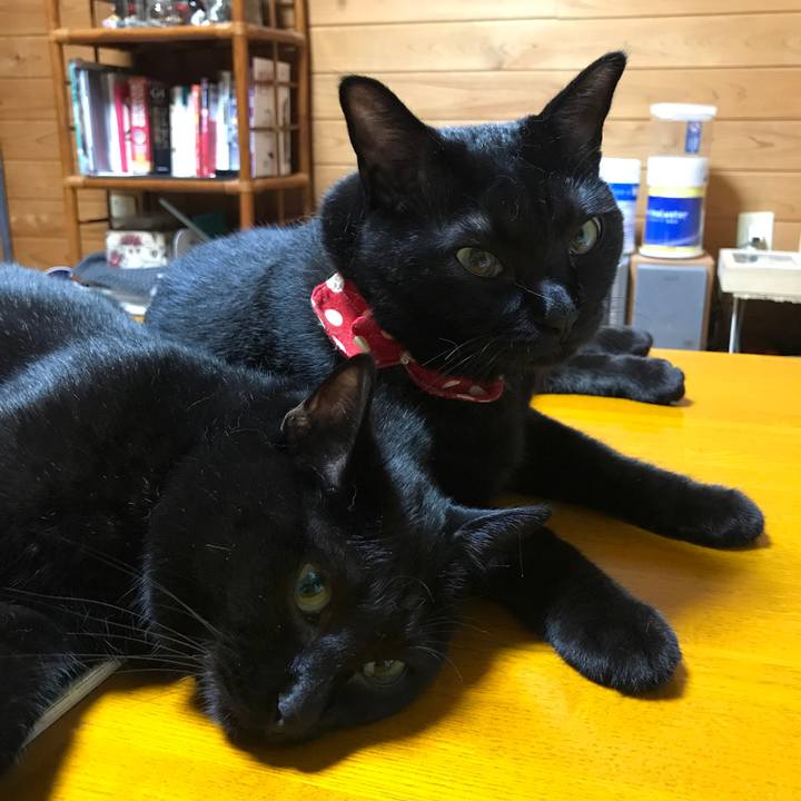 9b29f5a1 13bb 463f a148 f79ee8daf9d3