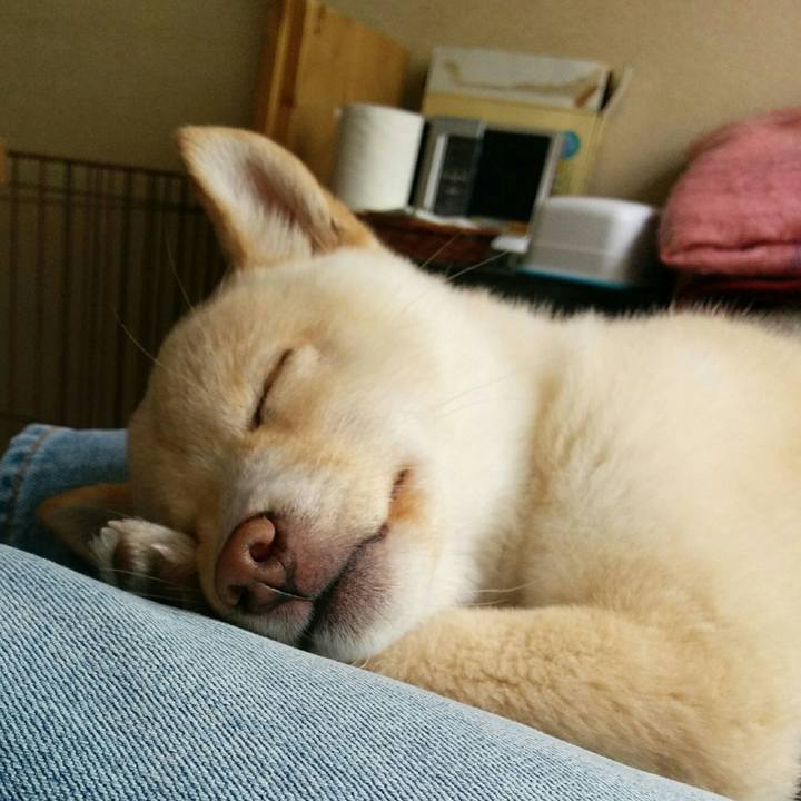 9b2a11a3 7ee1 41aa 9c8d 0ea26aab7b56