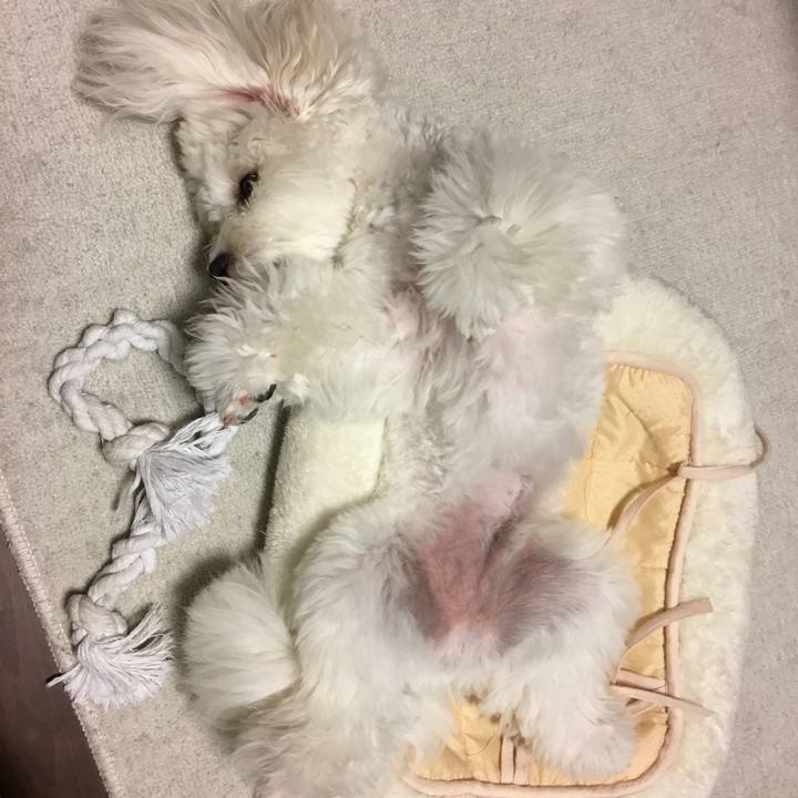 9b2a500e 0728 409a b253 e05b0b30b60c