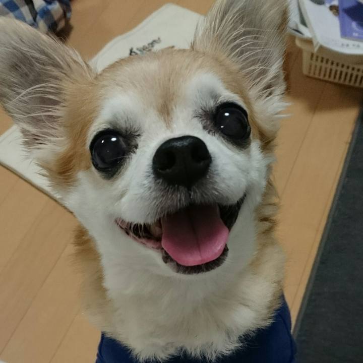 9b2a6c46 b3e9 434d a389 14193433724b