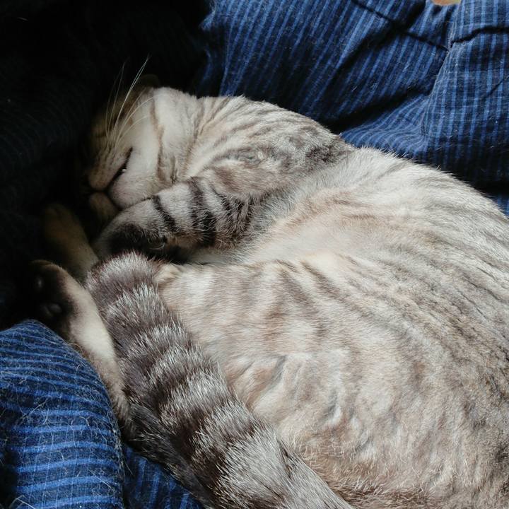 9b2a81f5 ee92 49ac 8c71 d42a14aa4ad0