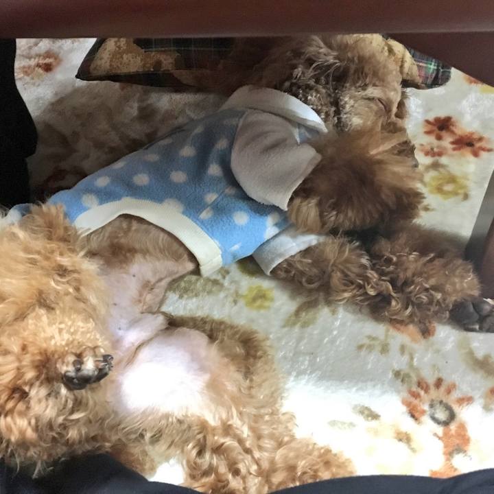 9b2a9a33 c189 43f7 9c00 5d7c4f876547