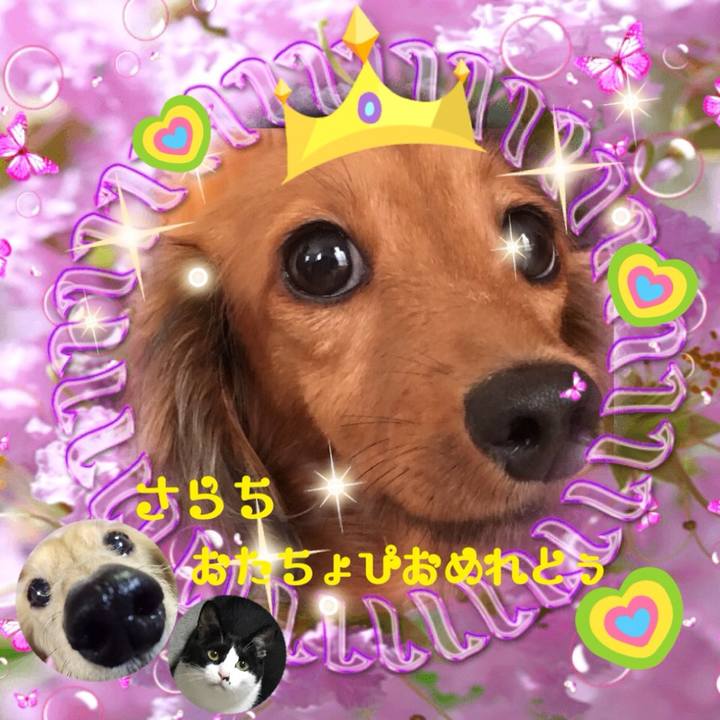 9b2c8733 2a28 45c6 8858 d7613739fd17