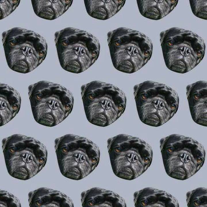 9b2da5e3 663d 4aad a134 f6b9e9a0a3ae