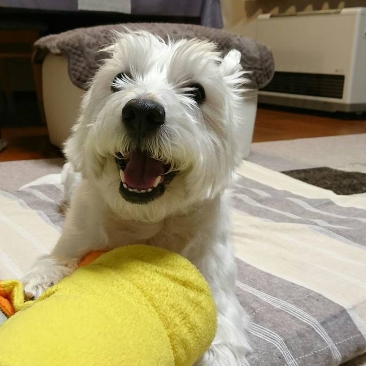 9b2e1ac5 cbec 407d 8cc7 365c502cf4f0