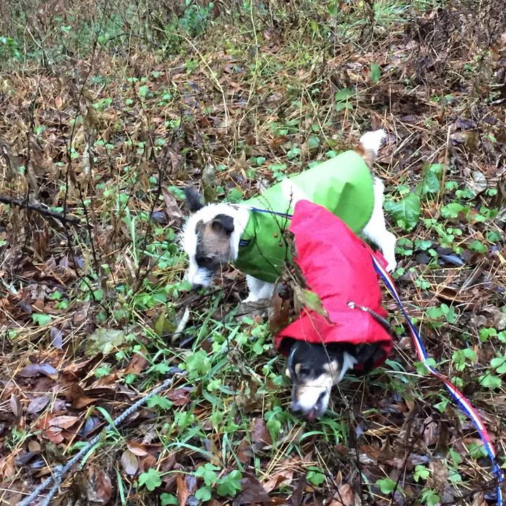 9b2f2538 0253 429a 9764 d199e196f91e