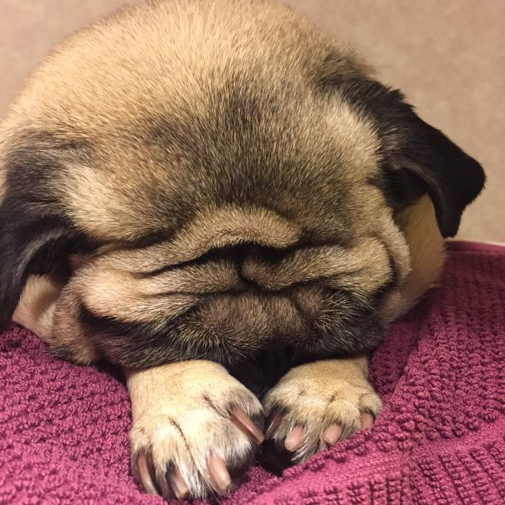 9b2fc2dc 5eb1 43b9 8365 58538a5ea15b