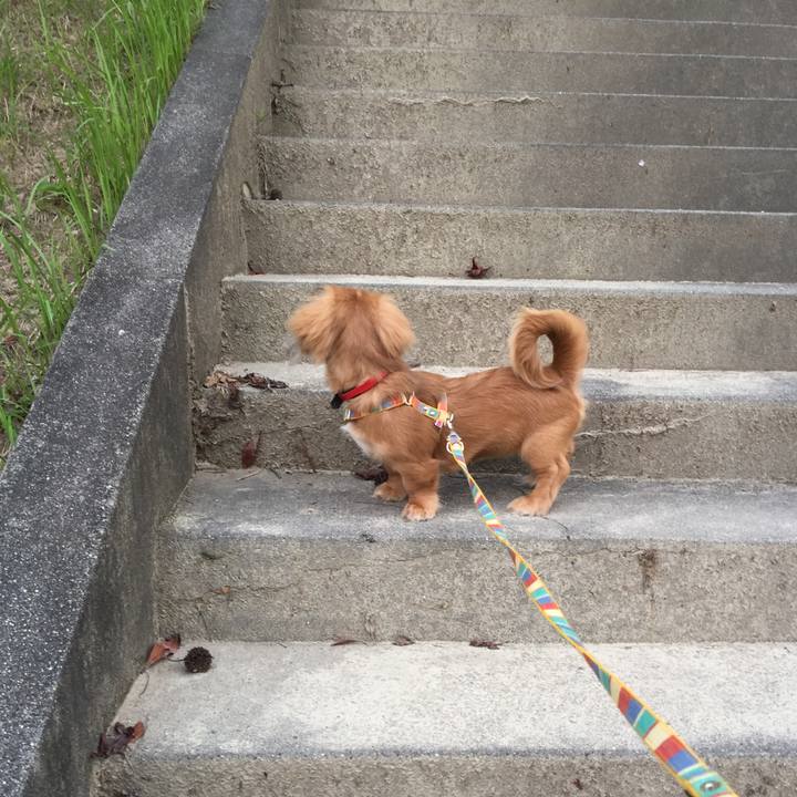 9b2ff9aa 6286 4cf8 be2f a193854137e9