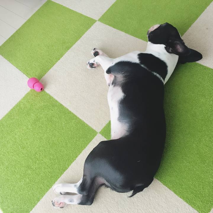 9b30413e 997f 4975 b2cb 56eaf3beaa6d