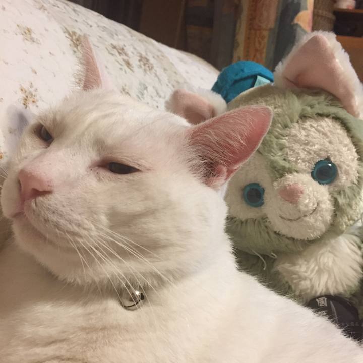 9b315570 8ab4 461a 9a8d b8af3736a477