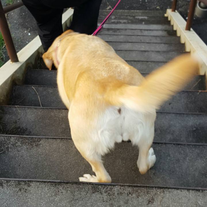 9b31bfcc c1cf 47ec 87ef 7abbb5469667