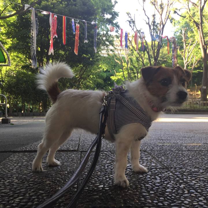 9b32550b 3e87 4539 a561 ba43c6e691b9