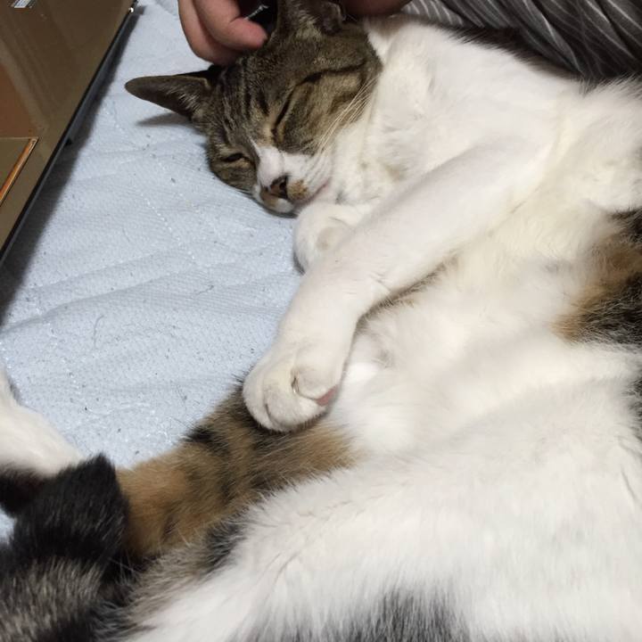 9b3313fe 641e 4439 bf9c a54b20bc9d81