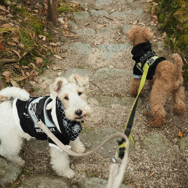 9b34839b 2f70 4f0a a6a4 08adf01c096a