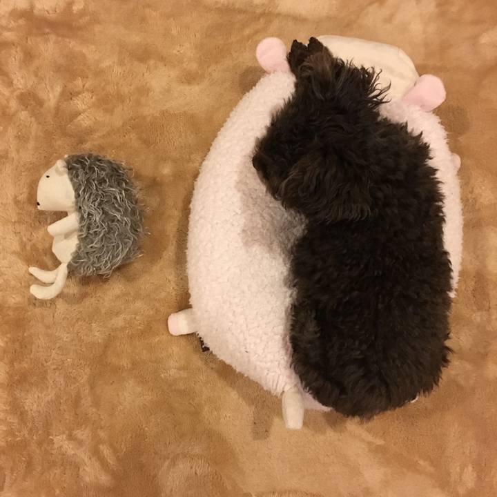 9b349097 8dd6 4438 afae 25c9d8c2a3a8