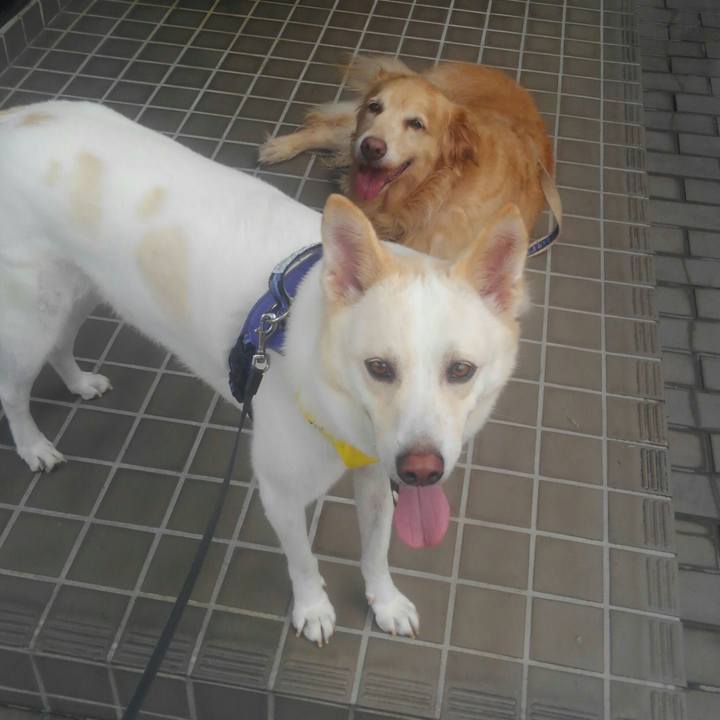 9b35f106 155c 4e0a 9d6a d03c372153b6