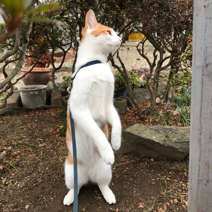 9b362468 7c56 439b b83d ce5462c44a97