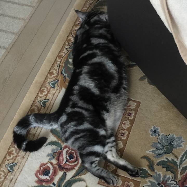 9b365fdd 5ade 47c4 abba 158f37d6b920