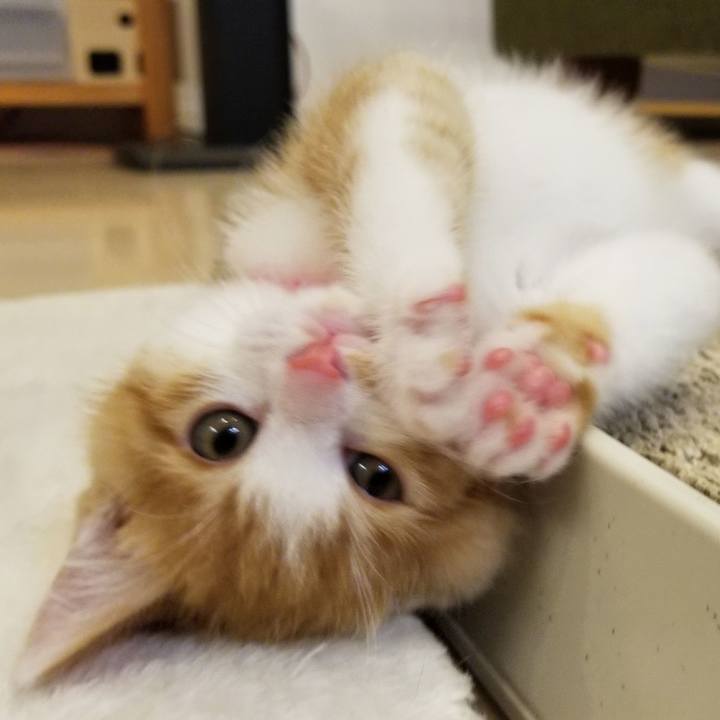 9b36dff4 9e3f 4370 90f9 b5a1f0ebf51b