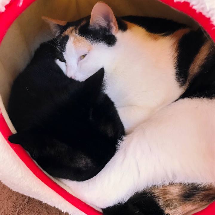 9b37491d ee4a 46e1 92d2 b23393580be4