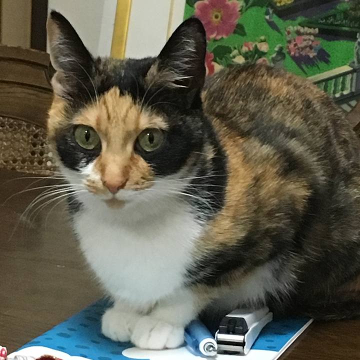 9b3766d9 1a80 4099 a6c5 97fdf1234143