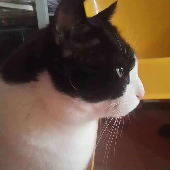 9b376e0e 6dd0 4fb5 bf81 4023968fae74