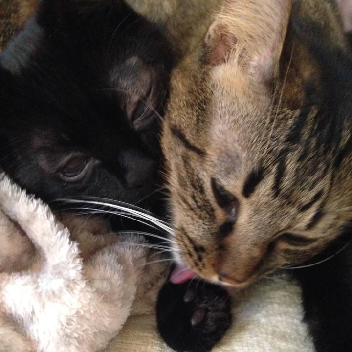 9b37b6f2 f80b 4430 b446 899db3c2047a